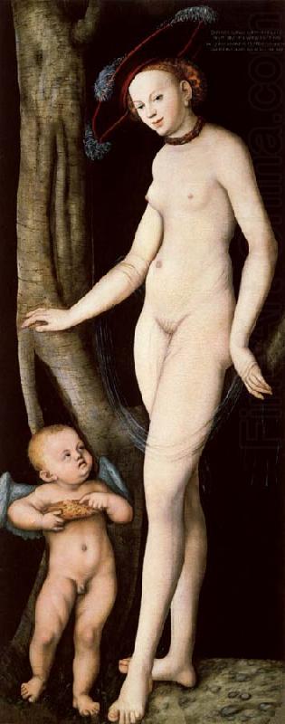 Lucas Cranach the Elder Venus and Cupid Carrying a Honeycomb china oil painting image